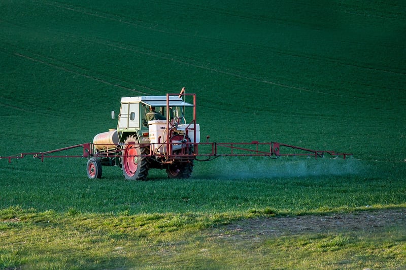 Pest Control Solutions