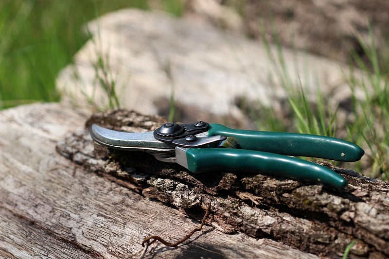 Pruning and Trimming Supplies