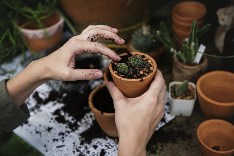 Soil and Fertilizers