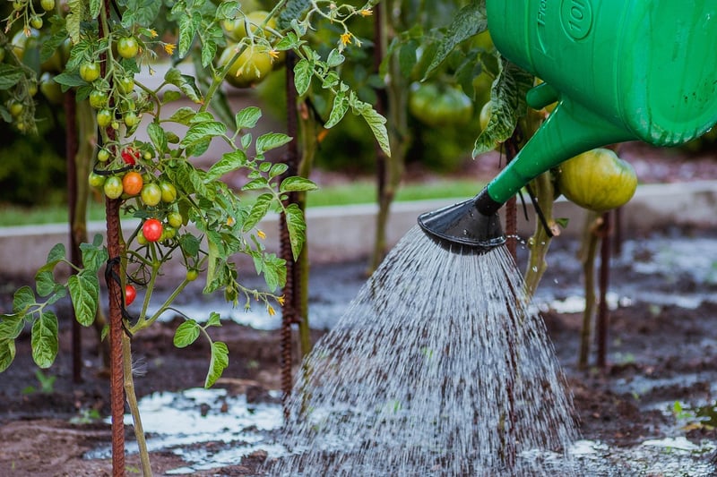 Watering Tools